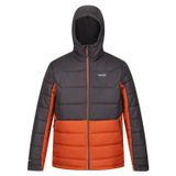 Regatta Nevado VI Gri Erkek Ceket