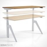 Regula Desk Dandy M - Elektrikli Yüksekliği Ayarlanabilir Çalışma Masası - Siyah Ayak Antrasit Tabla 200X80