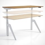 Regula Desk Dandy M - Elektrikli Yükseklik Ayarlı Çalışma Masası, Sıradışı Tasarım, Çift Motorlu Bluetooth Kontrollü, 60-125cm Ayar Aralığı, Ödüllü Kontrol Paneli (Siyah Ayak - Antrasit Tabla, 180x80)