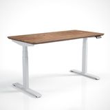 Regula Desk Solid V - Elektrikli Yüksekliği Ayarlanabilir Açılı Kesim Kenar Masif Ceviz Çalışma Masası - Beyaz Ayak, Ceviz Masif Tabla, 180X80 cm - Beyaz - Ceviz