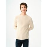 Regular Fit Erkek Kazak LF2037260_Q1.V1_BLK - Krem - S