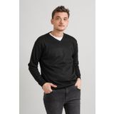 Regular Fit V Yaka Pamuklu Basic Erkek Triko Kazak