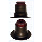 Reınz 70-35548-0 Subap Lastiği 206 207 307 1007 / C2 C3 Ds5 / Fiesta 1.4 HDI 1.4 TDCI 1.6 E-HDI Adet