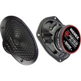 Reiss Audio RS-M69EX 6x9 cm Oval Midrange 300 Watt