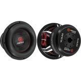 Reiss Audio RS-VL12 D2 5000WATT 2500RMS Deprem Etkisi Subwoofer Bass