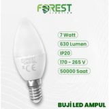 Reiz LED Ampul (E.14) Mum Ampul,beyaz Işık (7.watt=60 Watt)(4.adetli Paket)
