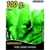 Rem Seeds 100gr Toros Yeşili Tere Tohumu