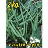 Rem Seeds 2kg Tegen Oturak Fasulye Tohumu