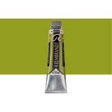 Rembrandt 1586 40 ml Cinnabar Green Light S2 N.626 Yağlı Boya