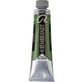 Rembrandt 40 ml 2 No:623 Sap Green Yağlı Boya