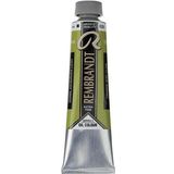 Rembrandt 40 ml Seri 2 Cinnabar Green Light 626 Yağlı Boya