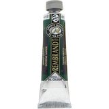 Rembrandt 40 ml Terre-verte Yağlı Boya
