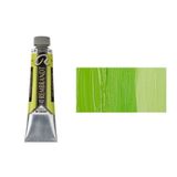 Rembrandt 40 ML Yağlı Boya Seri:1 No:629 Green Earth