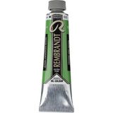 Rembrandt : Artists' : Yağlı Boya : 40 ml : Cinnabar Green Medium