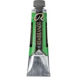 Rembrandt : Artists' : Yağlı Boya : 40 ml : Permanent Green Light