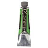 Rembrandt Yağlı Boya 40Ml Tüp - Perm.Green Lt