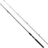 Remixon Flex Spin 180 cm 10-30 gr 2 Parça Spin Kamış