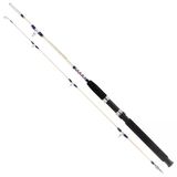 Remixon Hurricane 210 Cm 20-40Lbs Aksiyonlu Tekne Kamışı