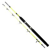 Remixon Pagrus 1.65 m 60-120 gr 2P Lemon Bot Olta Kamışı
