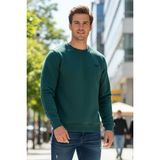 Remsa Erkek Içi Şardonlu Bisiklet Yaka Pamuklu Sweatshirt 0319 Zümrüt Yeşil - 3XL
