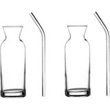 Renas Store 2 Adet Cam Pipetli Limonata Sunum Şişe Karaf Süt ve Meyve Suyu Bardağı