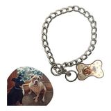 Renas Store 65 cm Uzunlukta Zincir Model Köpek Için Boyun Tasması
