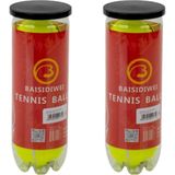 Renas Store 6’lı Tenis Topu Seti Dayanıklı Yüksek Zıplama Performans Topları