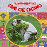 Renas Store Calendario Dell'avvento Cani Che Cagano: Idea Regalo Donna E Uomo Divertente E Originale Per Amanti Di Cani A Natale E Compleanno (Italian Edition)