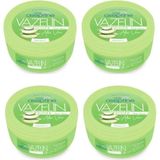 Renas Store Cire Aseptine Cıre Aseptıne Cire Aceptine Vazelin Aloe Vera 150 ml x 4 Adet