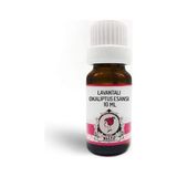 Renas Store Elito Lavantalı Okaliptus Esansı 10 ml