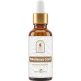 Renas Store Makedemya Cevizi Yağı 30 ml –%100 Saf ve Doğal, Besleyici ve Onarıcı Bakım Yağı