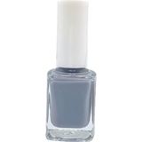 Renas Store Oje Seti, No 312 Gri ve C-02 Mavi Simli, Hızlı Kurutucu Parlatıcı Cila, 11 ml