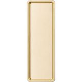 Renas Store Paslanmaz Çelik, Dikdörtgen Sunum Tepsisi, Gold, 33X13 Cm, Düz, Çay, Kahve, Pasta Sunum, 1 Adet