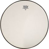 Renas Store Remo SA-0014-SS- Trampet Ambassador Renaissance 14INC Deri