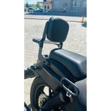 Renegade UM Sissy Bar