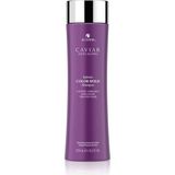 Renk Koruma Şampuan 250ml. Caviar Infinite Color Hold Caviar