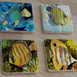 Renkli Balıklar Doğal Taş Bardak Altlığı 4'lü set - Natural Stone Coasters