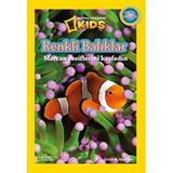 Renkli Balıklar: National Geographic Kids - Okul Öncesi (Kapak Değişebilir)