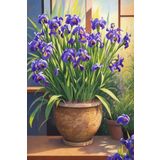 Renkli Baskılı Sayılarla Boyama Hobi Seti 40x50 cm: Eteklerin Dansı
