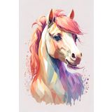 Renkli Baskılı Sayılarla Boyama Hobi Seti 80x100 cm: Atının Rengi