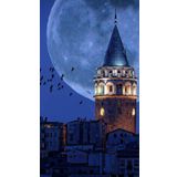 Renkli Baskılı Sayılarla Boyama Hobi Seti (Çerçeveli) 40x50 cm: Galata Kulesi