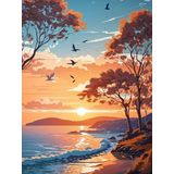 Renkli Baskılı Sayılarla Boyama Hobi Seti (Çerçeveli) 60x75 cm: Günbatımı ve Kuşlar