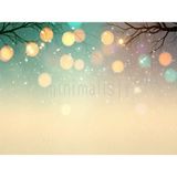 Renkli Bokeh ve Yumuşak Geçişler: Arka Plan 200X150CM, Stüdyo Fonu - -