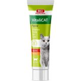 Renkli Çok Amaçlı Sağlıklı Köpek Diş Macunu 100 ml - Seçenek 1