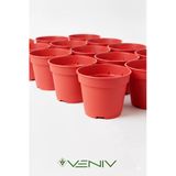 Renkli Fide Yetiştime Saksısı 10 Adet-0.3L