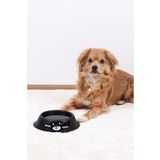 Renkli Metal Mama Kabı, Kedi Köpek Mama Su Kabı 20 Cm