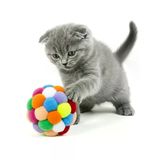 Renkli Peluş Çıngıraklı Kedi Oyuncağı, İnteraktif Top