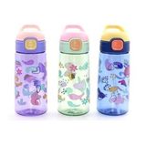 Renkli Pipetli Suluk 600 Ml