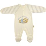 Renkli Puset Unisex Bebek Penye Tulum Welcome Ayı - 3-6 Ay - Mavi