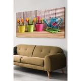 Renkli Saksı Kanvas-canvas Tablo, 65 x 45